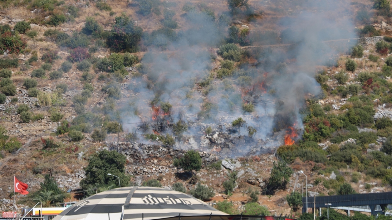 Dinek Mahallesi, Alanya Marina karşısındaki kırsal alanda henüz bilinmeyen bir nedenle yangın çıktı.