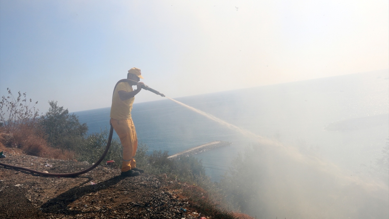 Kısa sürede kontrol altına alınan yangında, yaklaşık 5 dönüm alan zarar gördü.