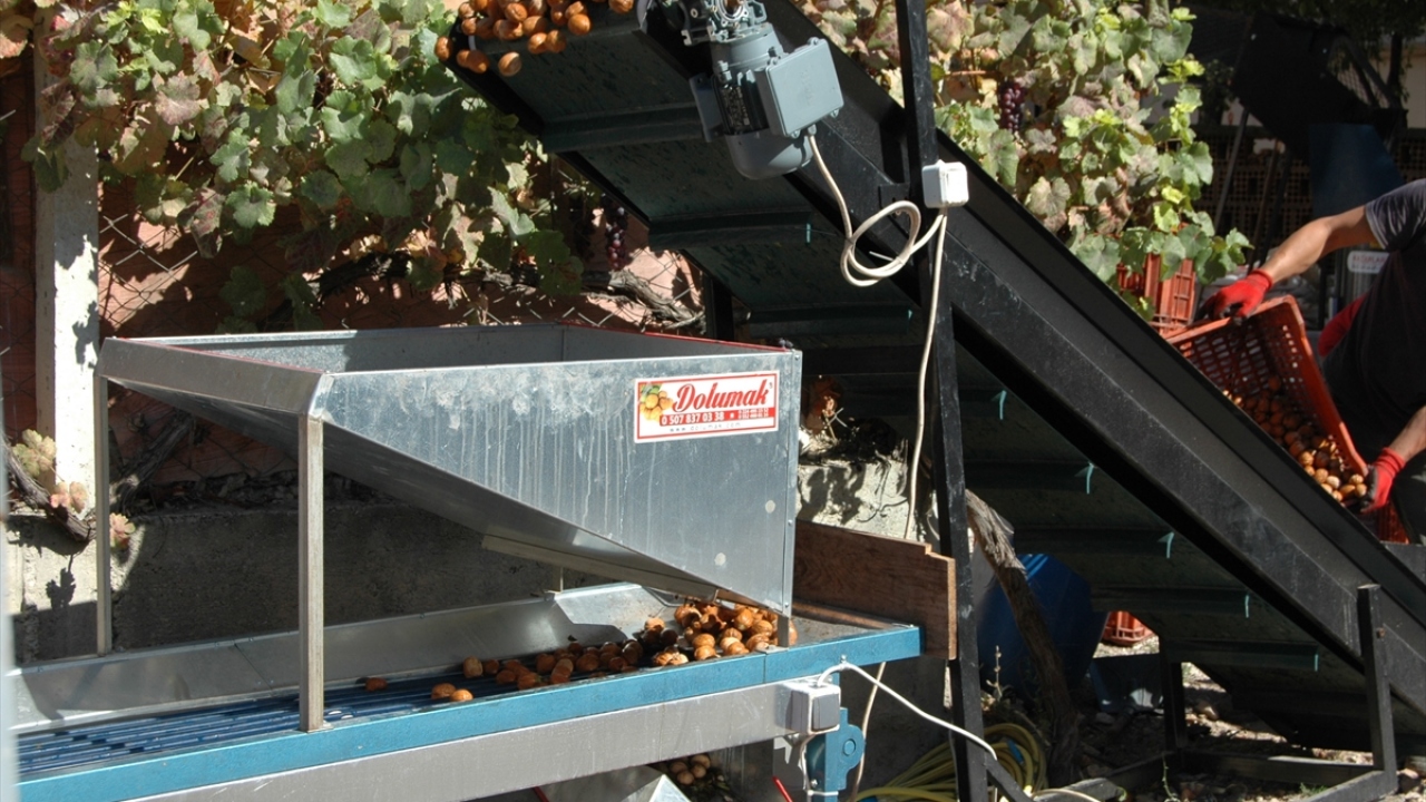 Ergün Uluyol, emekli olduktan sonra ceviz üreticiliğine başladığını söyledi.