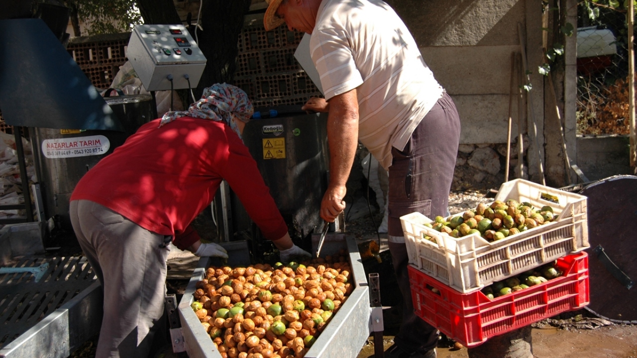 Nevin Uluyol ise her geçen yıl ürünlerinin daha da arttığını söyledi.