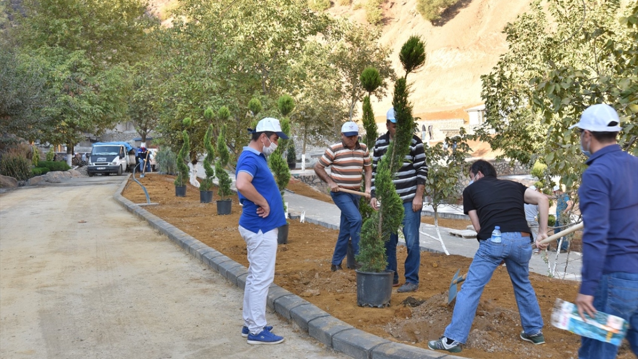 Kahramanmaraş`ta yaklaşık 10 gün önce çıkan orman yangınlarında 65 hektar alan zarar görmüştü. 