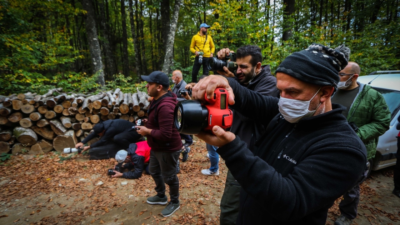 Bölgede sonbahar yürüyüşüne katılan gruba öncülük eden fotoğraf sanatçısı İsmail Saraç, yaptığı açıklamada, çok güzel manzaralarla karşılaşmanın mutluluğunu yaşadıklarını söyledi.