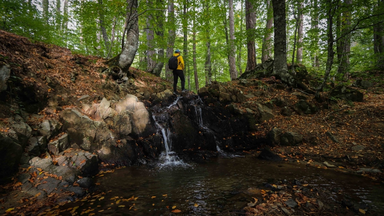 Oyuncu ve fotoğrafçı Hakan Karayaşar da Domaniç Dağları`nda çektikleri fotoğrafları sosyal medya hesaplarından paylaşarak ilçenin tanıtımına katkıda bulunmak istediklerini dile getirdi.