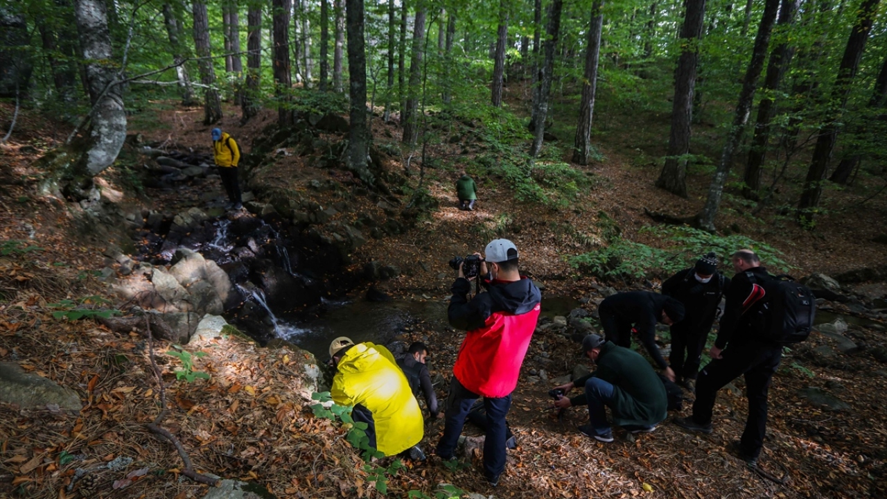 Ankara`dan gelen Altın Kare Fotoğraf ve Sinema Derneğinin kurucusu Mustafa Bayram ise bölgeye daha fazla fotoğrafçı getirmek için elçilik yapacaklarını ifade etti.