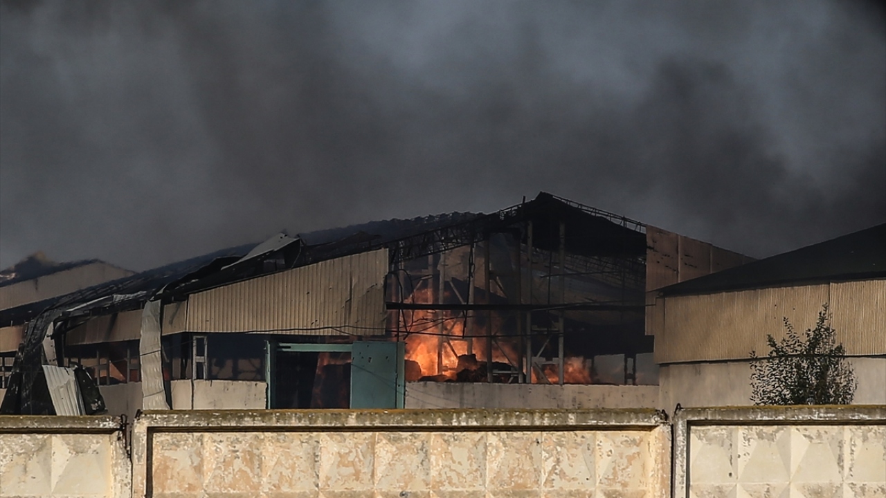 Saldırılar nedeniyle bölgeye kimsenin yaklaşmasına izin verilmiyor. 