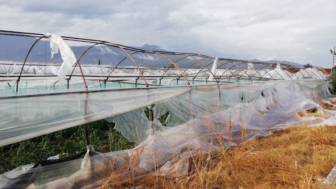 Dolu nedeniyle bölgedeki seralar zarar gördü.