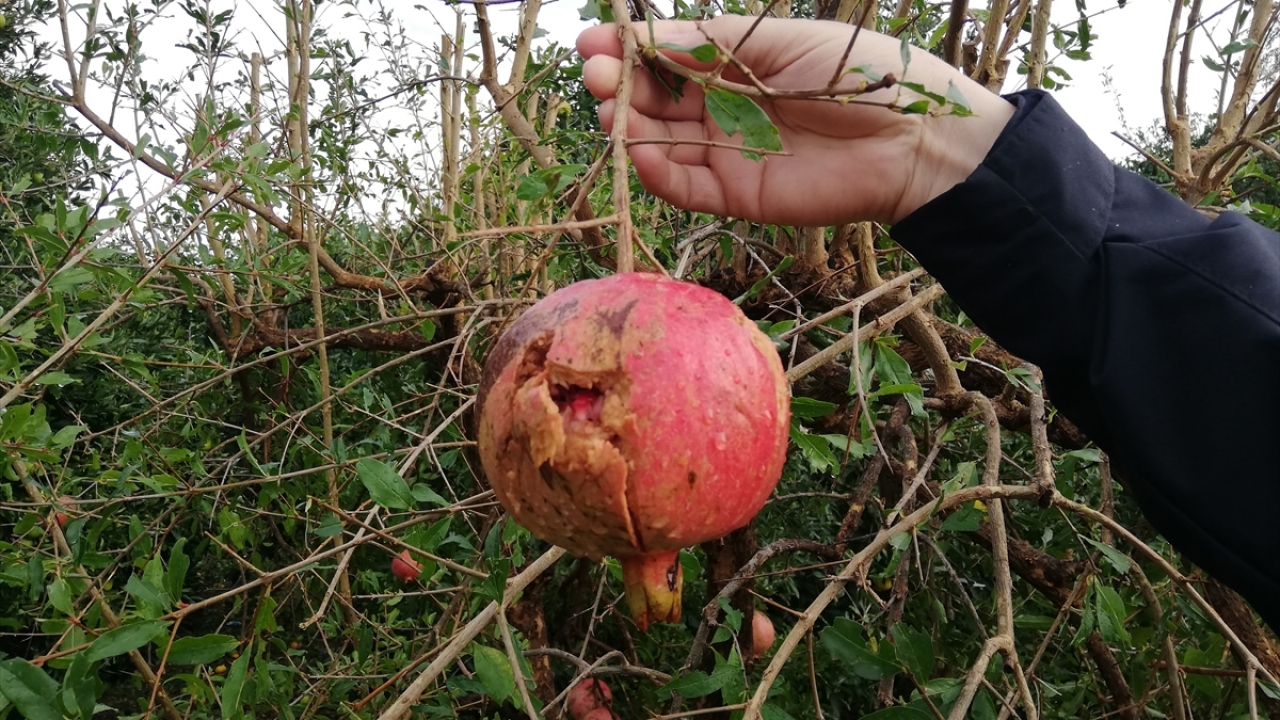 İlçede hava şartlarının normale döndüğünü bildiren Kolsuz, hasar tespit incelemelerinin başladığını kaydetti. 