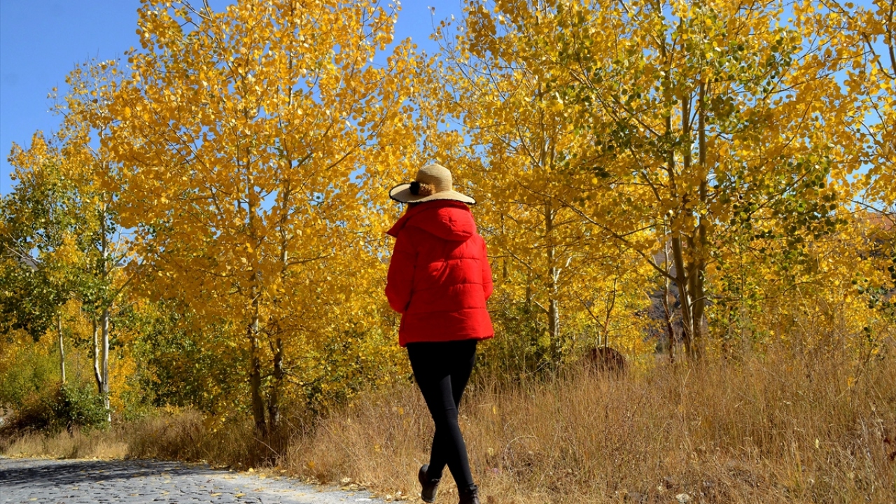 Doğaseverler, 4 saatlik yürüyüşün ardından zirveye ulaşarak, sonbaharın tüm renklerinin bir arada görülebildiği bölgede çay içti, tabloları aratmayan manzarada fotoğraf çekti. 