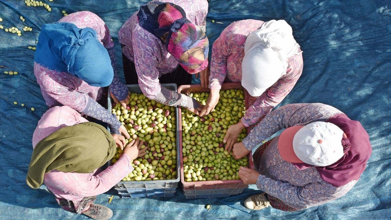 Almanya ise 42,4 milyon dolarla ihracatta ilk sırada yer aldı.