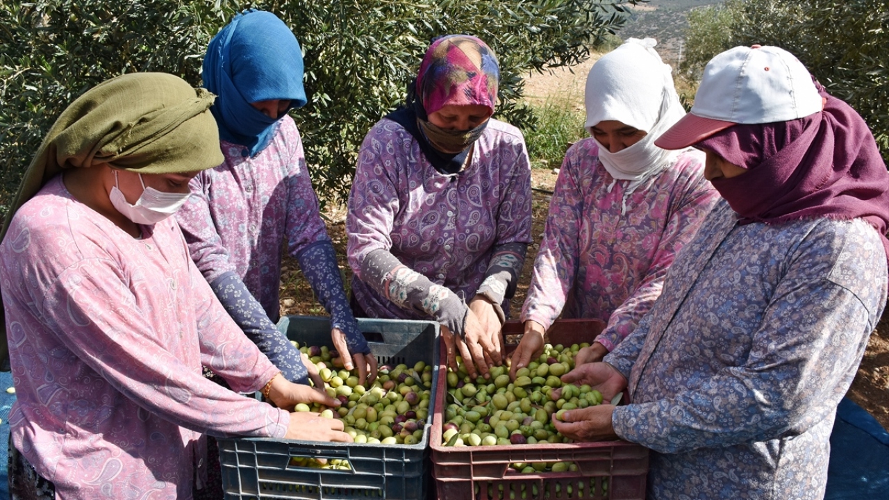 Bu ülkeyi, 25,6 milyon dolarla Irak ve 18,3 milyon dolarla Romanya izledi. 