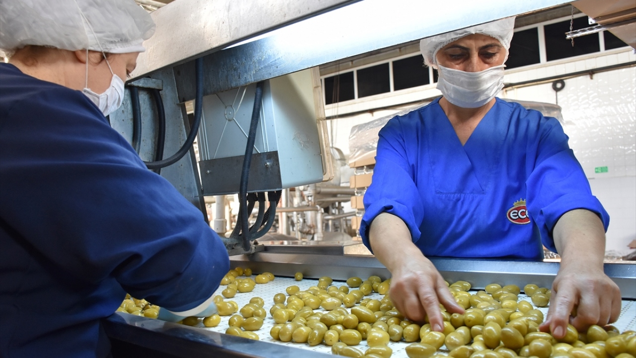 Dökme ihracat yerine markalı ve ambalajlı ihracatı önemsediklerini dile getiren Bakan, şöyle konuştu: