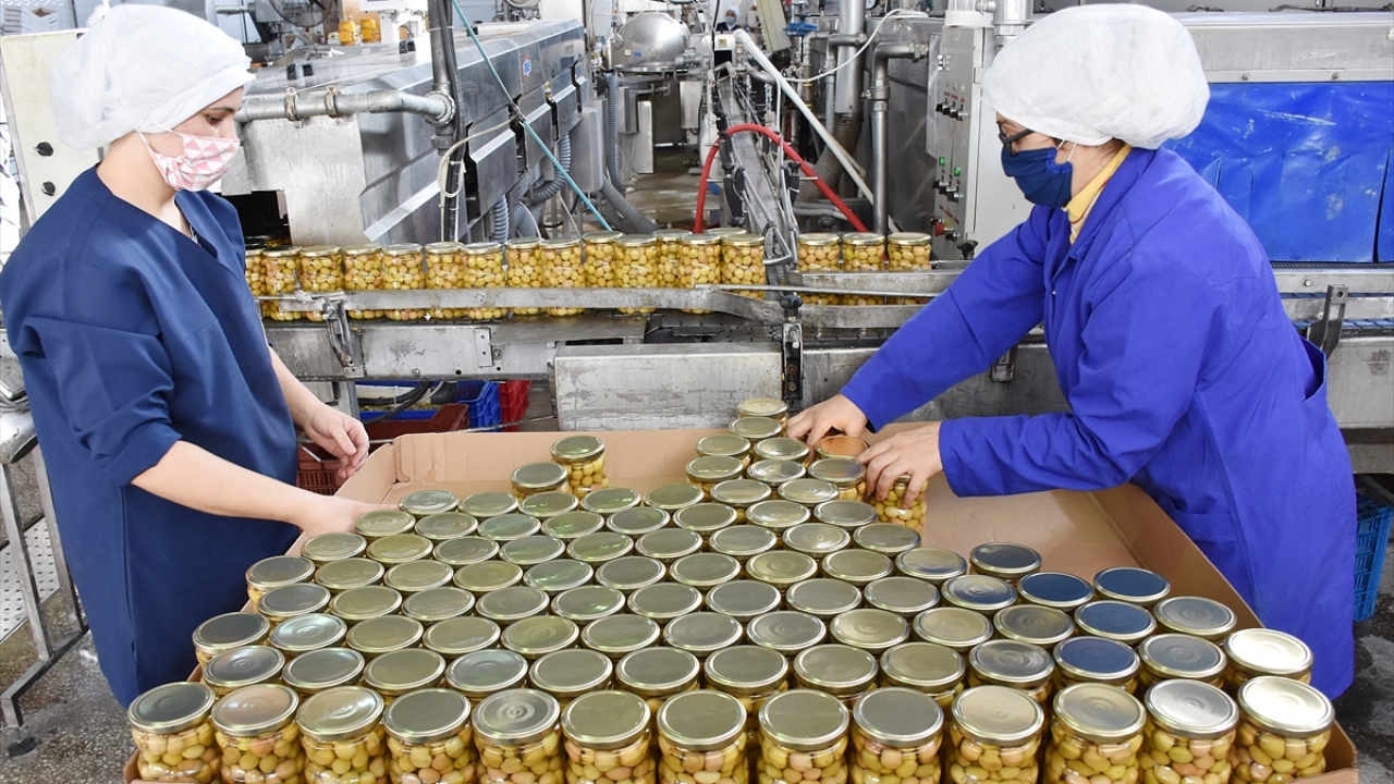 Akhisar Ticaret Borsası Başkanı Alper Alhat da sofralık zeytin ihracatının artmasını öngördüklerini dile getirdi. 