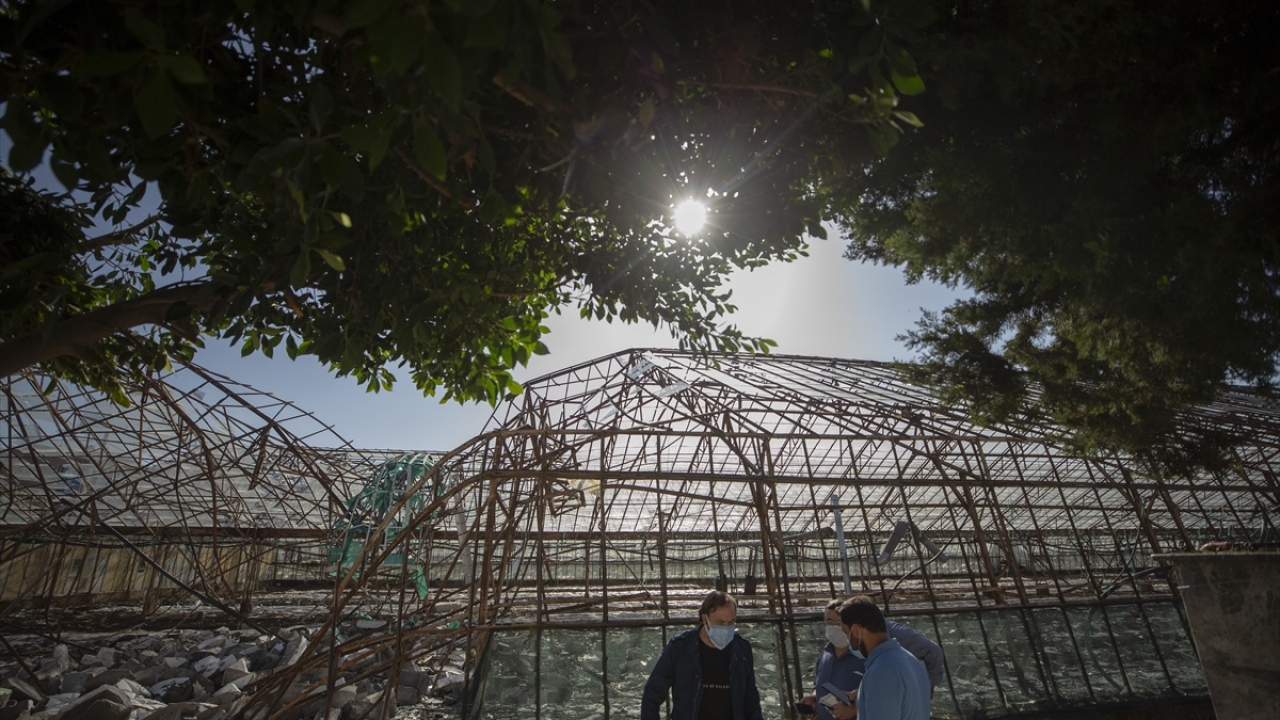 Kumluca Tarım ve Orman Müdürlüğünce ilçede oluşturulan 7 ekip, hasar tespit çalışması yaptı.
