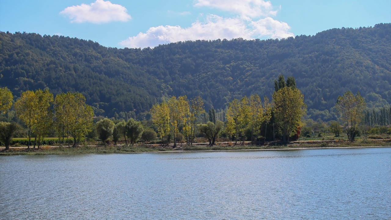 Doğa harikası Gölcük Yaylası salgında kaçış noktası oldu TRT Haber