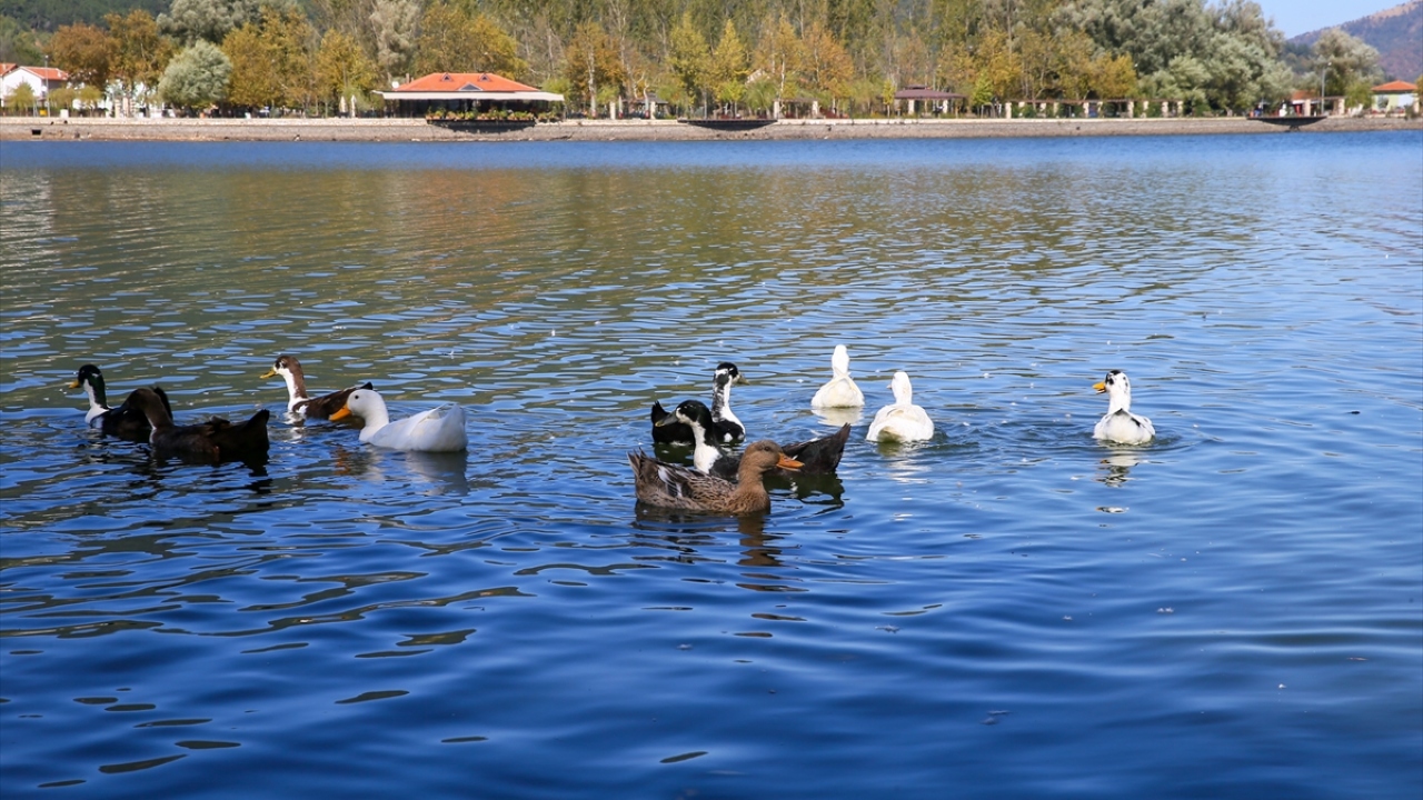 "Koronadan kaçıp buraya geldik"
