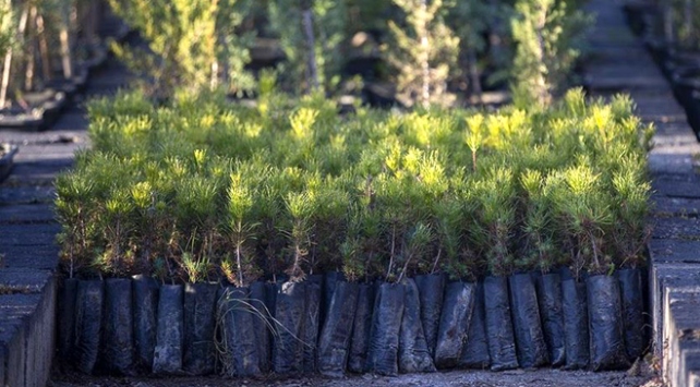 Alkollü içki satış düzenlemesine uymayanlara 320 bin lira ceza