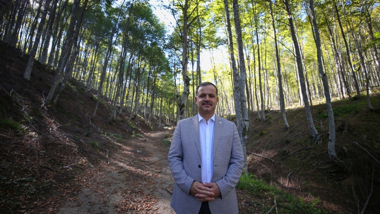 Bursa Orman Bölge Müdürü Yalçın Akın, ayın ormanlarına ekonomik ve biyolojik zarar veren tırtıllarla mücadeleyi bir yılda tamamlayıp drone ölçümleriyle tespitlerde bulunduklarını söyledi.