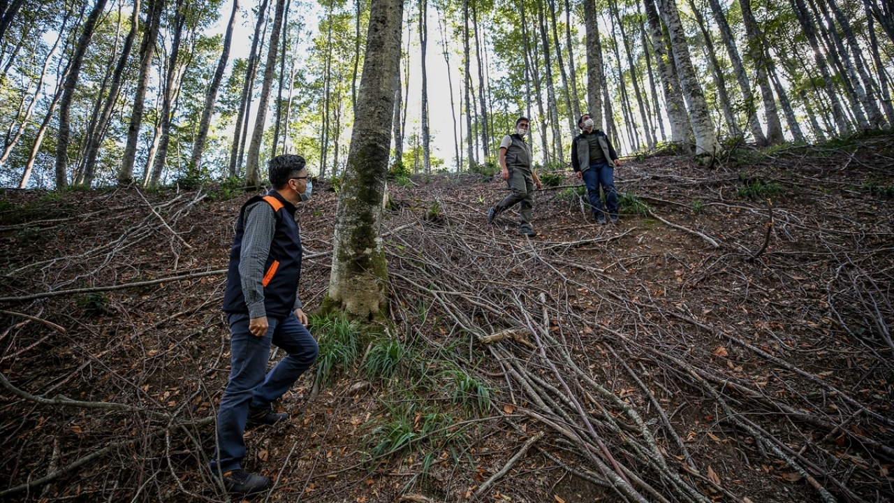 Çalışmalar sonucunda, zararlının popülasyon yoğunluğunda büyük ölçüde azalma kaydedildi. 