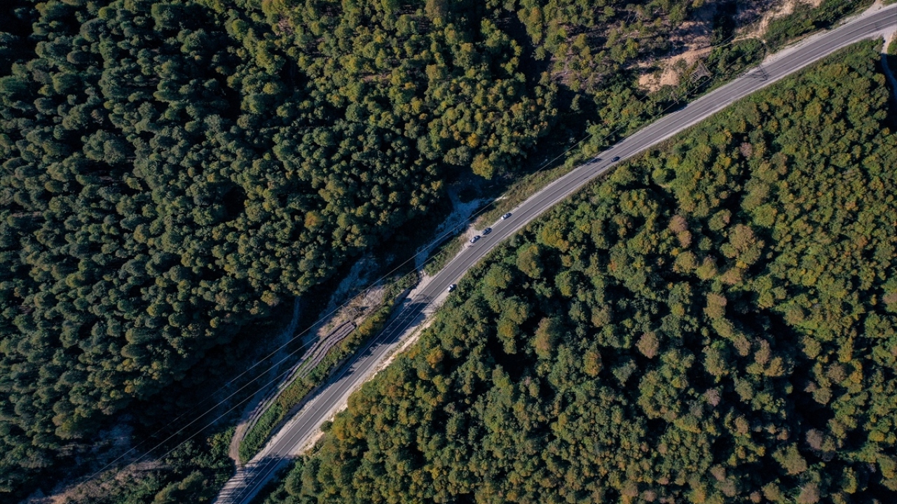 "En az 2-3 bin hektar alan tırtıldan kurtuldu"