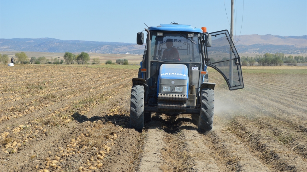Şuhut, Sandıklı, Dinar ve İhsaniye ilçeleri başta olmak üzere kent genelinde kışlık patates ekimi yapan çiftçiler, traktör ve tarım aletleriyle arazilerinde hasat için yoğun mesai harcıyor.
