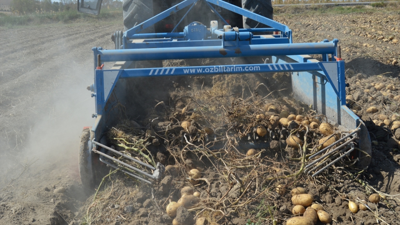 Acar, kentte üretimi yapılan kışlık patateslerin İstanbul, Ankara ve İzmir gibi büyükşehirler başta olmak üzere genellikle yurt içinde tüketildiğini kaydetti.