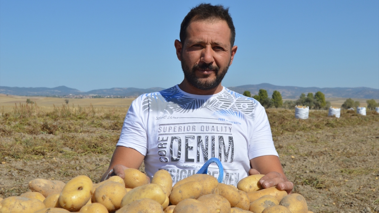 Üretici Taner Çetin, patates fiyatlarının geçen seneye göre bu yıl daha iyi olduğunu anlattı.