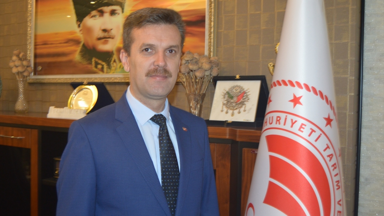 İl Tarım ve Orman Müdürü İbrahim Acar, Türkiye`de patates üretiminde Afyonkarahisar`ın 3`üncü sırada yer aldığını bildirdi. 