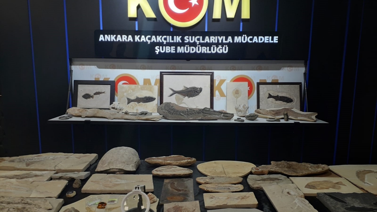 Adnan Oktar'ın Ankara'daki evlerinden milyon dolarlık fosiller çıktı