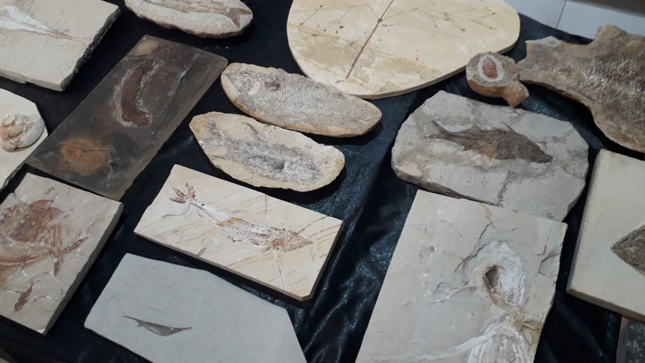 Adnan Oktar'ın Ankara'daki evlerinden milyon dolarlık fosiller çıktı