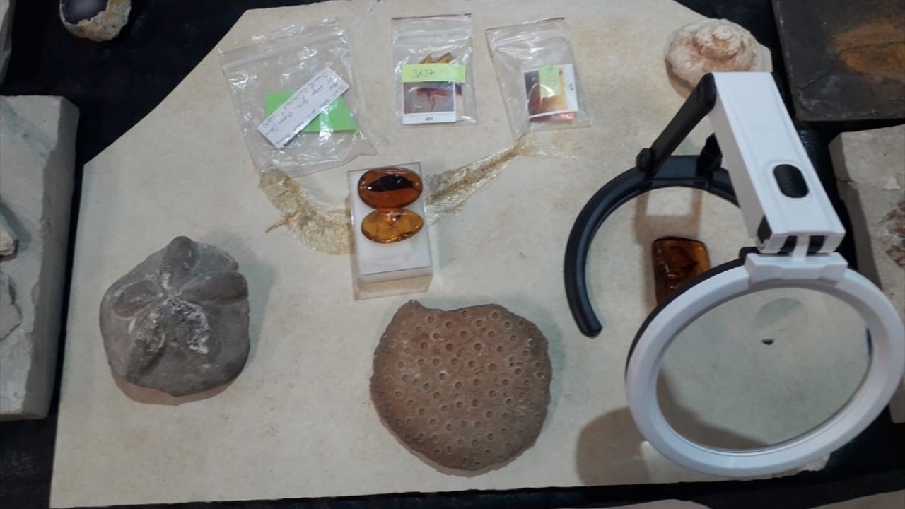 Operasyonda örgüt üyeliğinden cezaevinde tutuklu bulunan O.B.Y. ve ikamet sahibi H.K`ye adli işlem yapıldı.