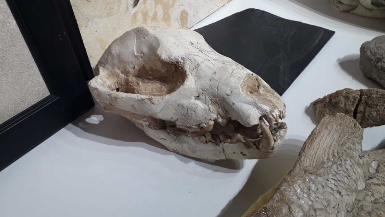 Operasyon kapsamında suç örgütü üyeliğinden cezaevinde tutuklu bulunan H.F.M ile ikamet sahibi Y.Ö`ye adli işlem uygulandı.