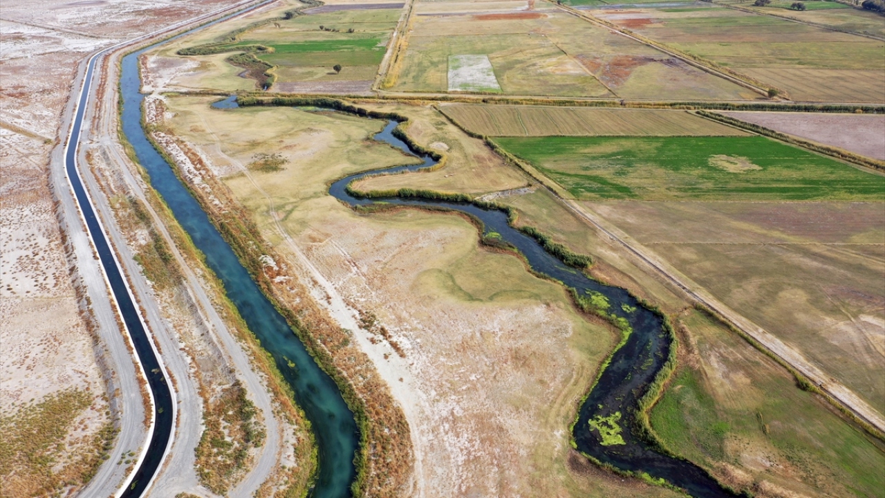 Kuzeydoğa Derneğinin de desteğiyle çekimlerine başlanan, halk arasında "esrarengiz fareler" olarak adlandırılan su maymunları, yöreye gelen turistlerin de ilgisini çekiyor.