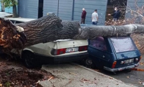 Antalya'da sağanak ve rüzgar: Ağaçlar devrildi, yollar göle döndü