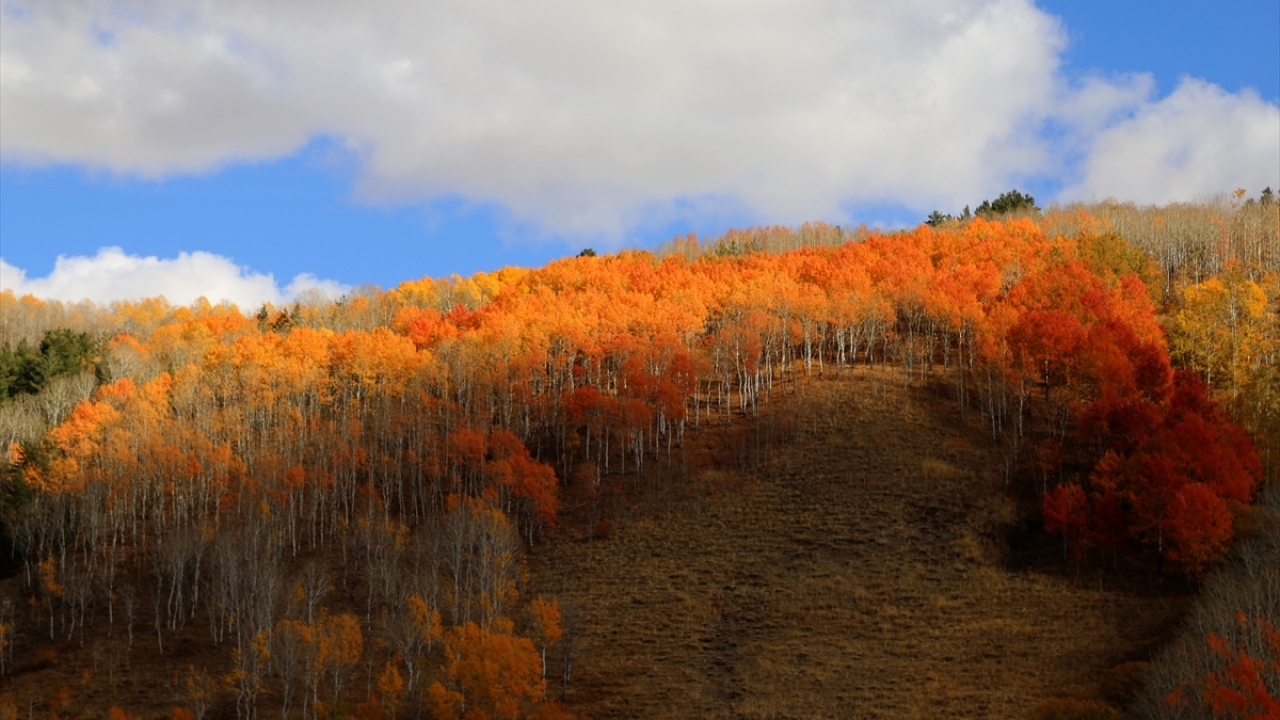 Ağaçların sarı, yeşil ile kızıl tonlara bürünmesiyle sonbaharın tüm güzelliklerini yansıtırken adeta doğada da renk cümbüşü yaşanıyor.