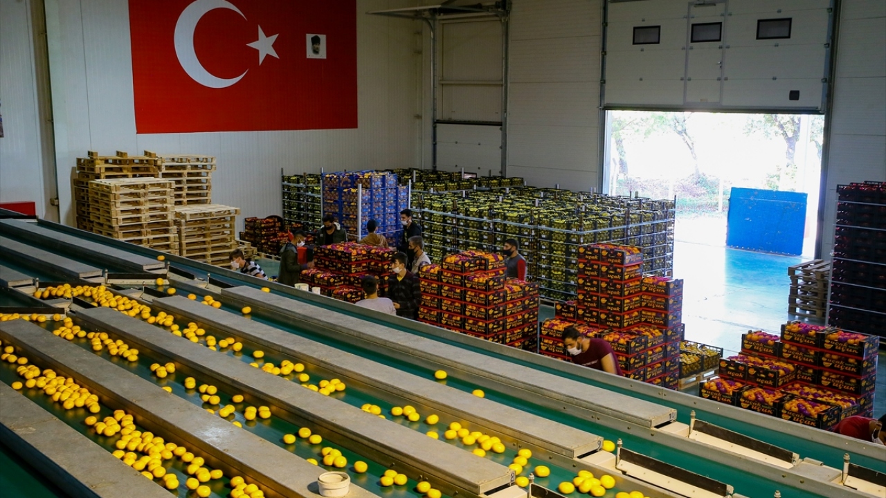 Türkiye`nin meyve sebze ihracatının her yıl arttığını kaydeden Uçak, bunun en büyük sebebinin kaliteli üründe sürdürebilirlik olduğunu vurguladı. 