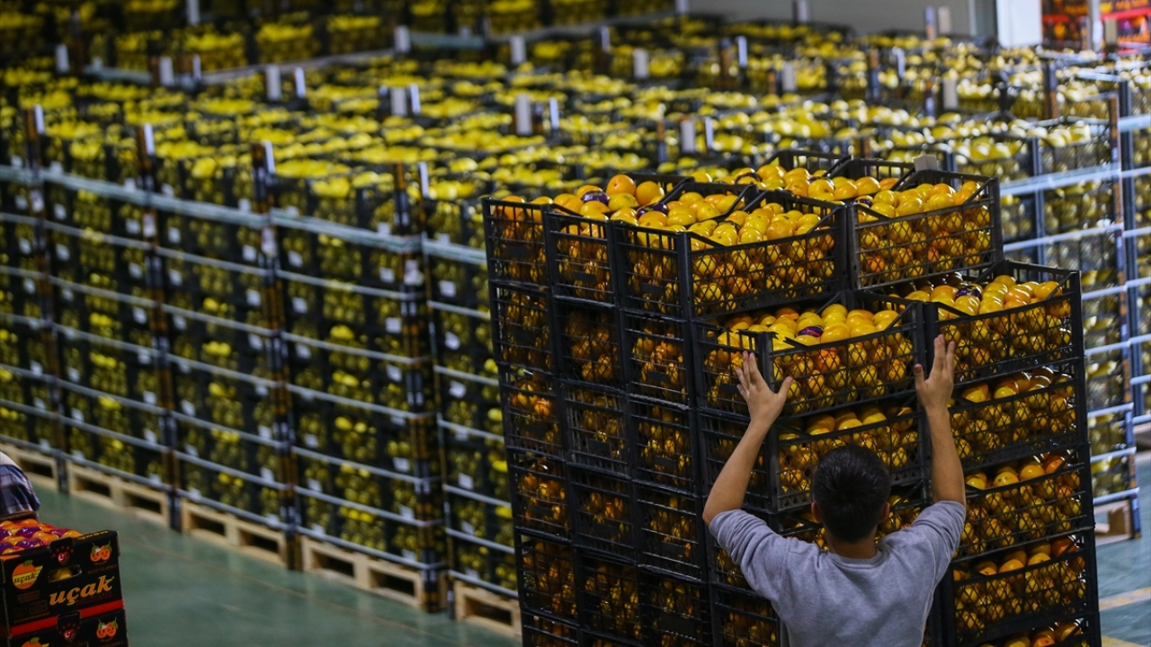 İlk ihracat Balkan ülkelerine