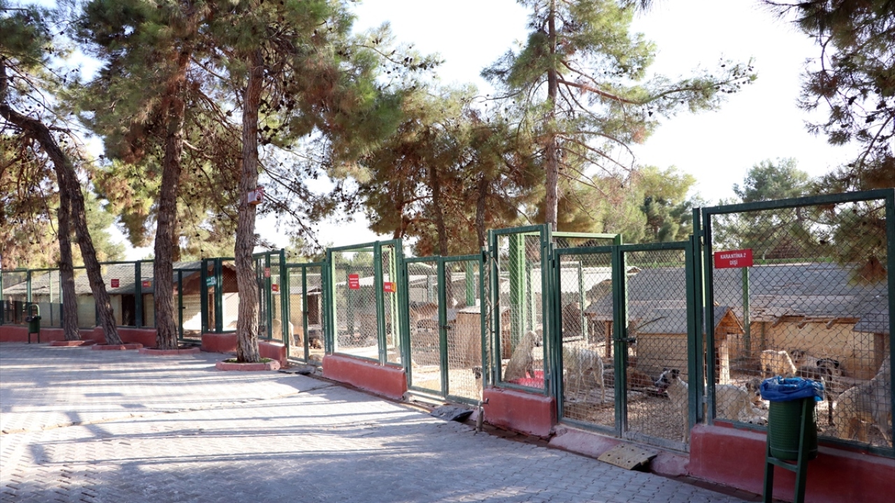 Büyükşehir Belediyesince hizmete alınacak merkezde, geniş ameliyathaneler, alttan ısıtmalı bakım odaları, yarı açık gezintili, çoklu köpek bakım bölümleri, köpek kulübeleri, sosyal tesisler ve gezinti alanı bulunacak. 