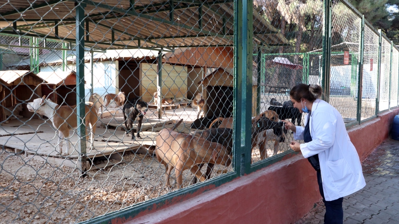 "2021 yılının ilk ayında inşallah faaliyete geçecek"