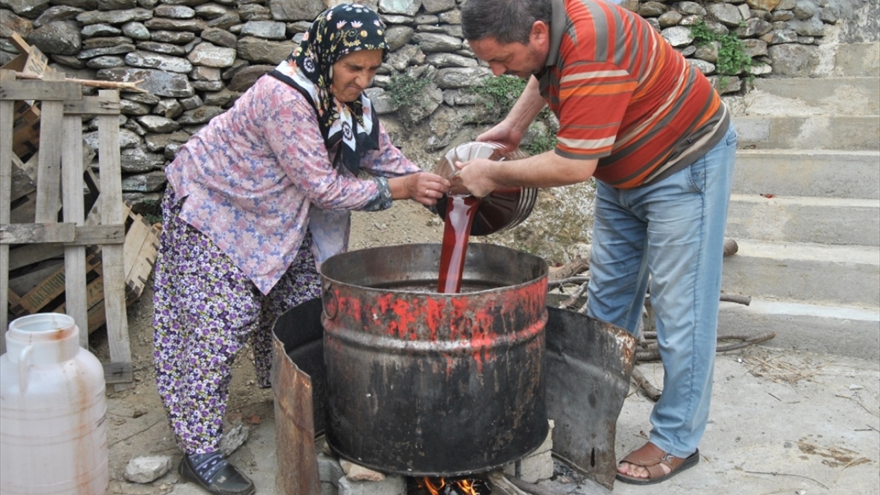 Bademlili çocuklar, bölgedeki yaylalarda büyüyen kantaronlardan sabun elde edilebildiğini öğrendi. 