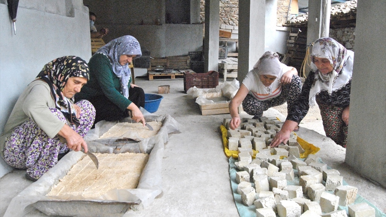 Bademli Mahallesi`ndeki Bademli Ortaokulunda öğrenim gören 7 ve 8. sınıf öğrencisi 8 çocuk, yaklaşık 2 yıl önce yaşadıkları bölgenin iklim ve toprak koşullarında yetişen bitkileri faydalı birer ürüne dönüştürmek için harekete geçti.