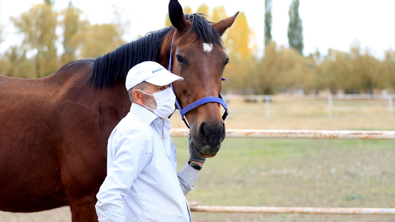 Seyok, çiftlikteki atlarla ilgili şu bilgileri verdi: