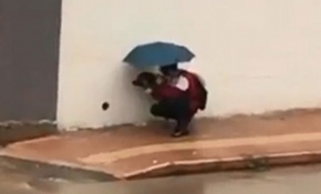 Sokak köpeğini şemsiyesiyle yağmurdan korudu