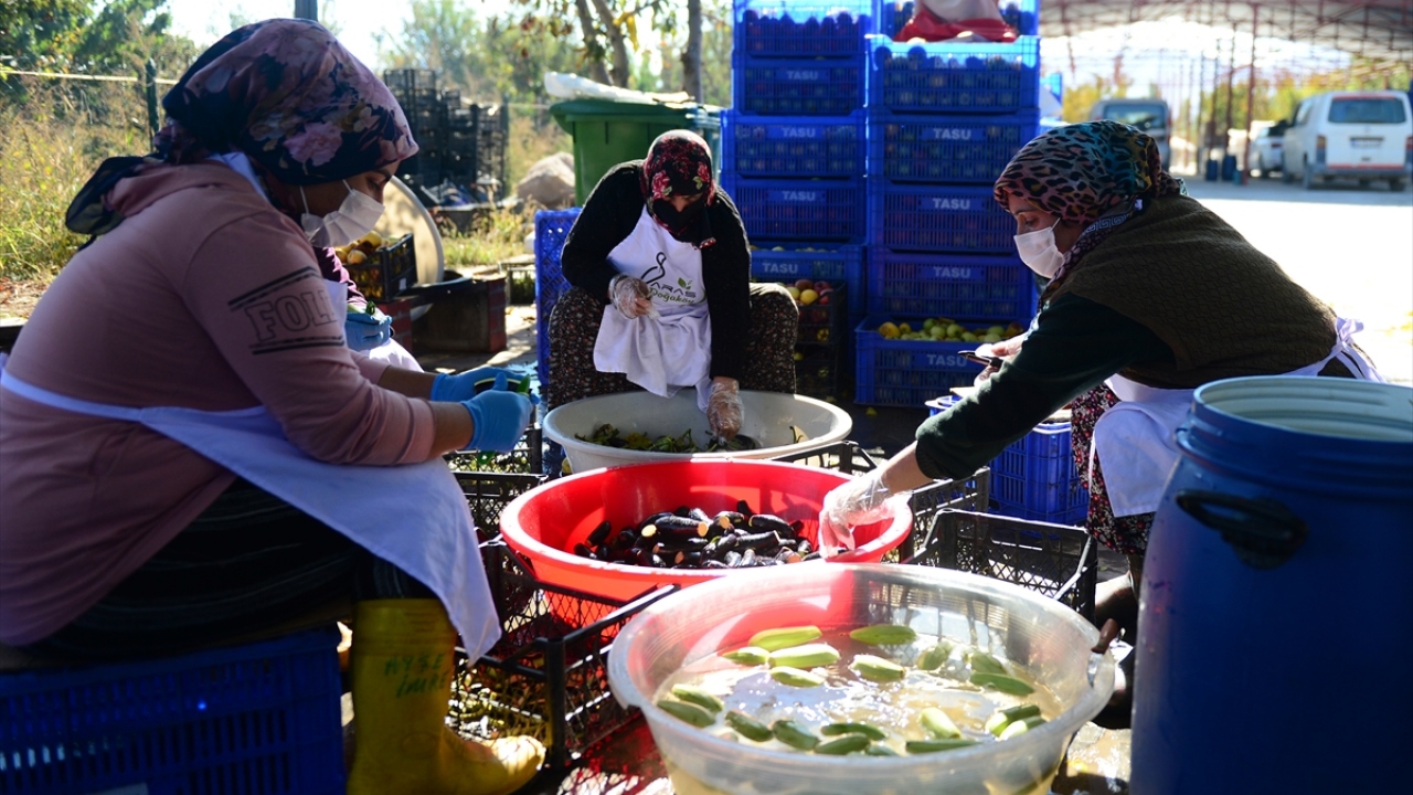 Yöredeki tarlalarda yetiştirilen patlıcanlar, tesise getirilip burada gerekli işlemlerden geçtikten sonra dev kazanlarda pişirilip şişelenerek e-ticaret sistemiyle satışa sunuluyor. 