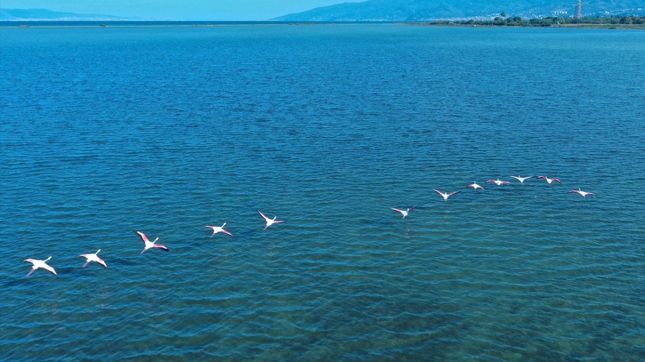 Bazı türlerin sonbahar ve kış aylarını geçirmesi dolayısıyla "Kuş Oteli" olarak da adlandırılan 152 hektar büyüklüğündeki lagün, hayata geçirilen projelerle daha canlı bir görüntüye bürünüyor.