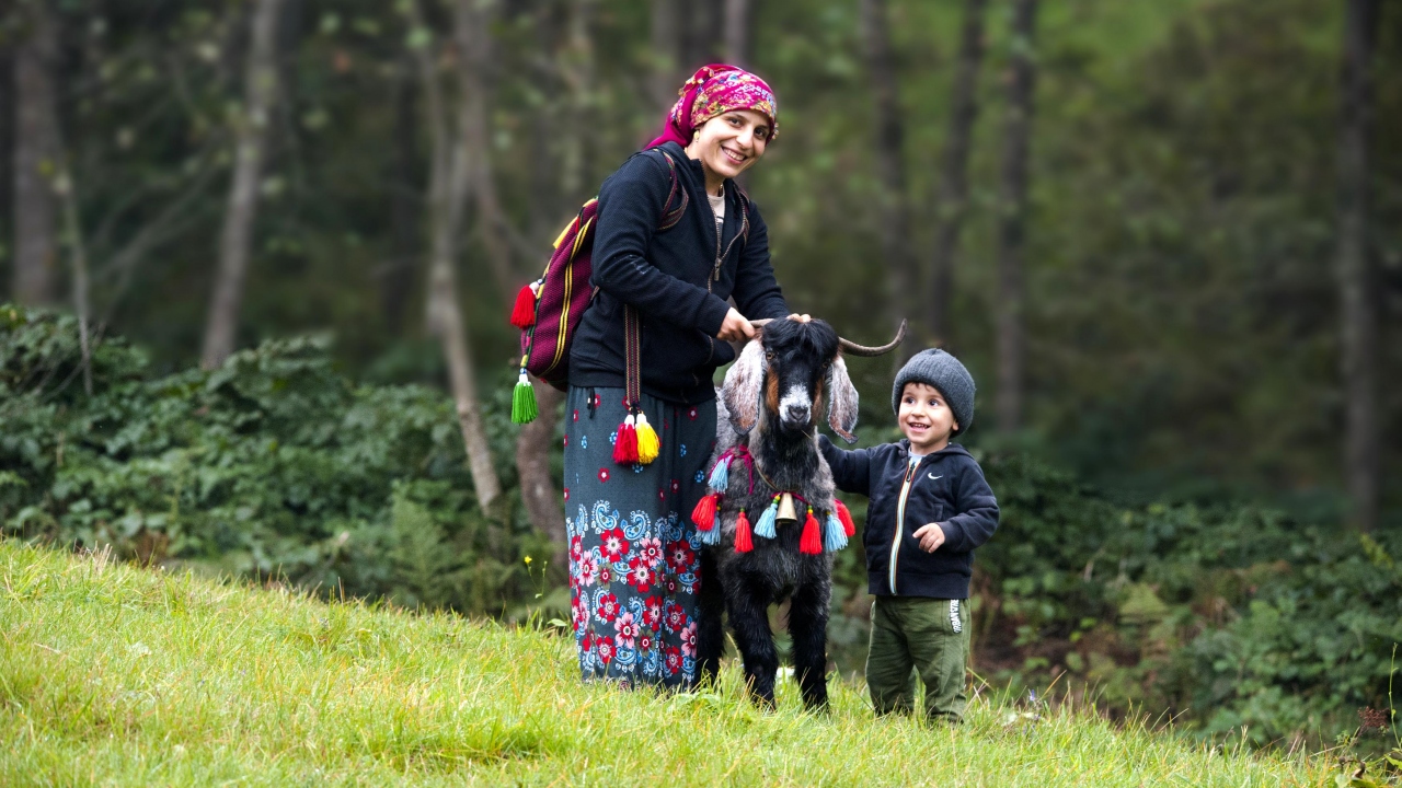Doğu Karadeniz Bölgesi`nde, asırlardır gelenek olarak yaşatılan yaylacılık, mayıs ayı ortalarında başlayıp, sonbaharla birlikte sona eriyor.