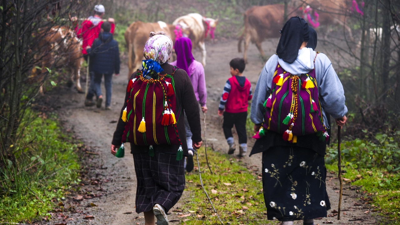 Özellikle hayvanlarını otlatmak amacıyla yaylalara çıkanlar, buralarda kaldıkları süre içinde hem kış aylarında tüketecekleri süt ürünlerini elde ediyor, hem de hayvanlarının tüketeceği otları biçiyor. 
