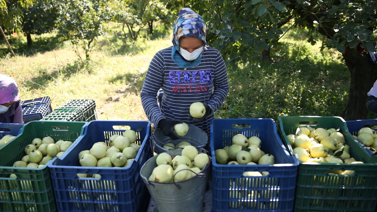 Övün, ayva, çilek, domates, üzüm gibi ürünlerin işlenerek ekonomiye daha fazla katkı sağlamak için gıda organize sanayi bölgesine ihtiyaç duyulduğunu, bununla ilgili çalışmaların devam ettiğini kaydetti.