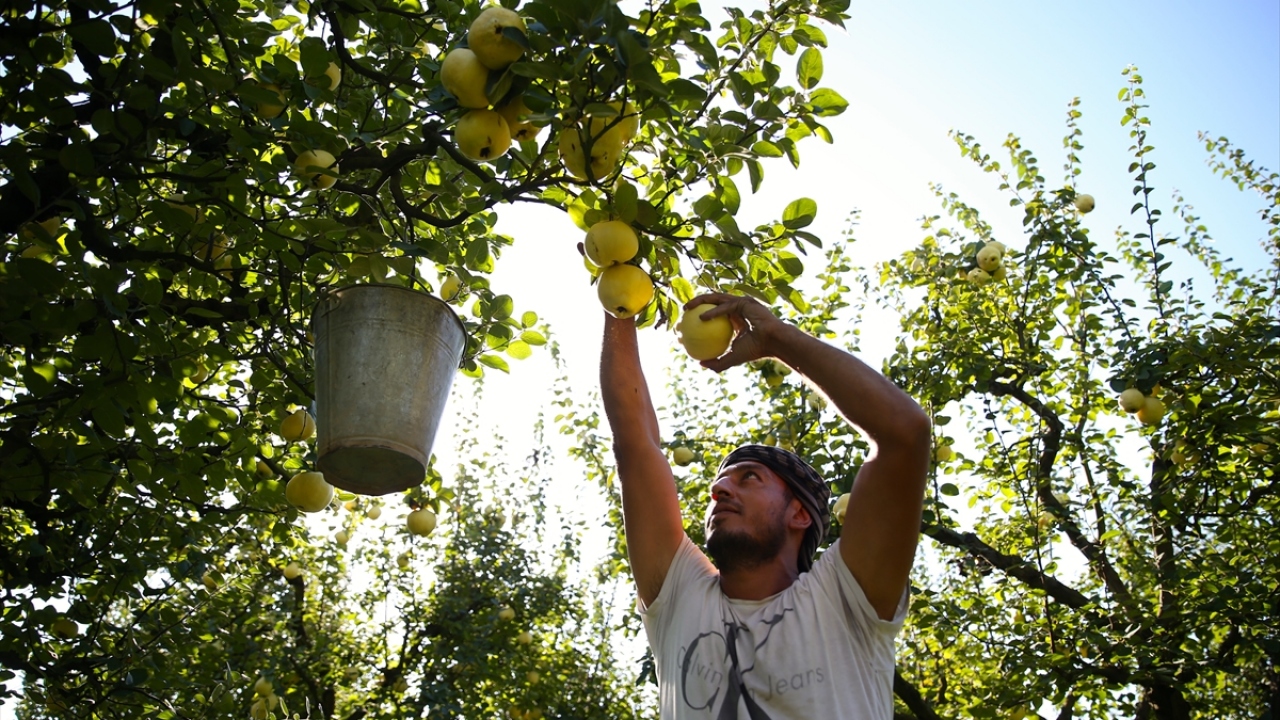 "İç ve dış piyasanın talebinden memnunuz"