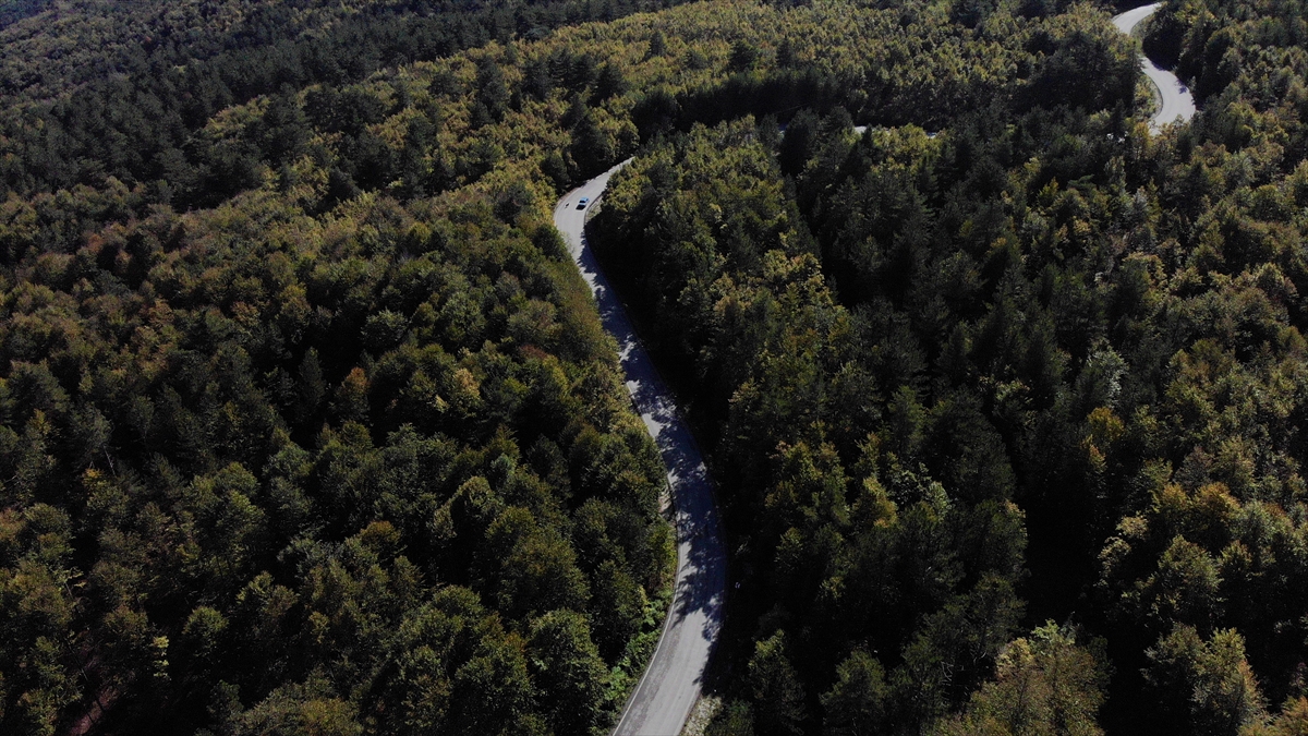 İlçeyi "göletler diyarı" olarak nitelendiren Tekin, "Sonbaharın tüm renklerini burada yaşıyoruz. İlçemizde sonbaharın ilk renkleri ortaya çıkınca hareketlilik de başladı." dedi.