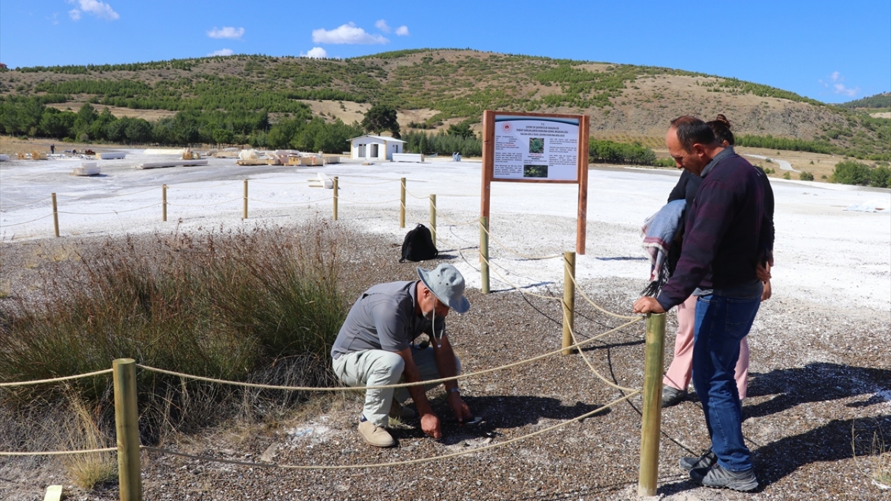 "Bu türler milyarlarca yıllık evrimsel süreçte oluşmuş"